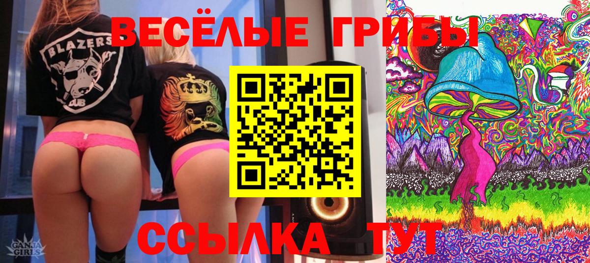 Псилоцибиновые грибы ЛСД  Вход с VPN  Норильск 